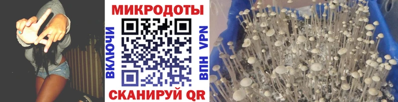 Галлюциногенные грибы Magic Shrooms  Ангарск 